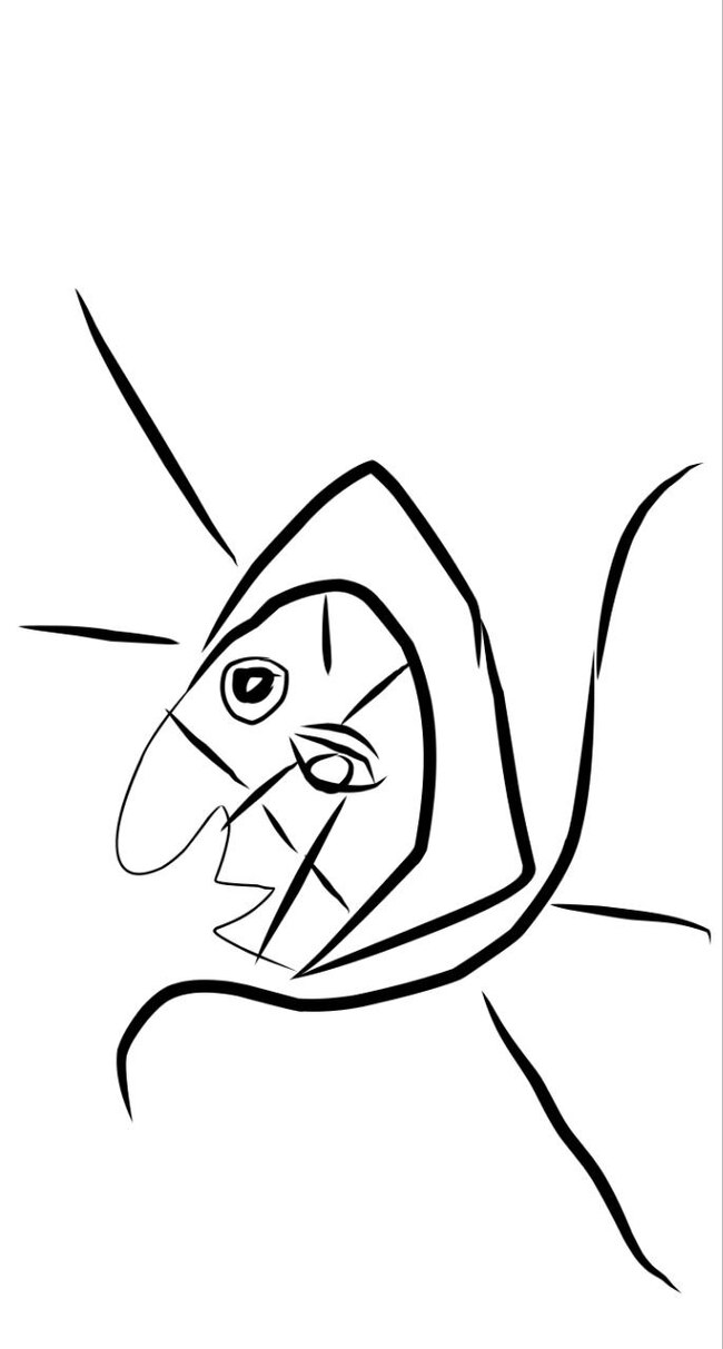 Anyo Anishe - sketched Picasso on didge canvas - that's some digital cubism... - Picture with text, Images, Picasso, Art, Modern Art, Longpost