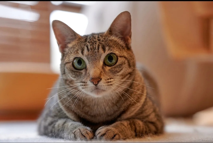 "Ничего не хочешь рассказать мне?"