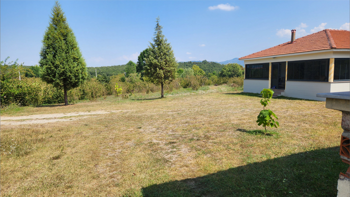 �������, �� ������� ����� ���, ��� ��� ������ � 1910-� (����� �� ������������ ����)