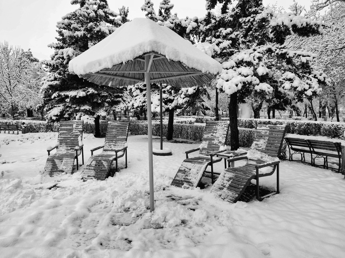 ���� ������