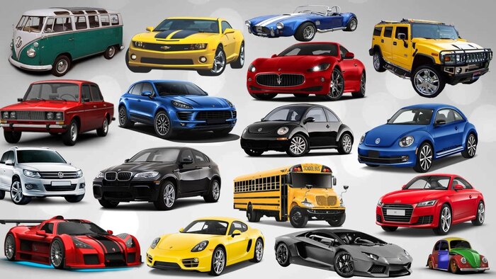 ���� ����� �� �������� ����������