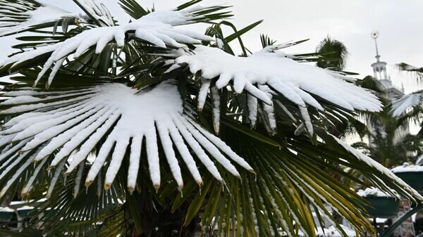 Arctic air will break through to Crimea – should we expect snow and frosts? - Phobos, Weather, Crimea, Winter, Frost, Shower, Longpost, The photo, Snow