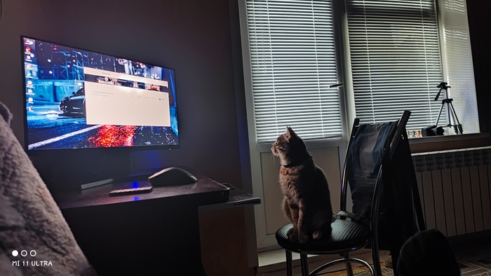 Че бы посмотреть сегодня?