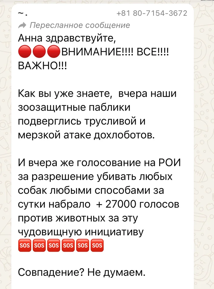 Зоопсихопаты никак не могут поверить в то, что адекватное большинство не хочет кормить собой собачек - Моё, Радикальная зоозащита, Бездомные животные, Бродячие собаки, Чульман, Нападение собак, Длиннопост