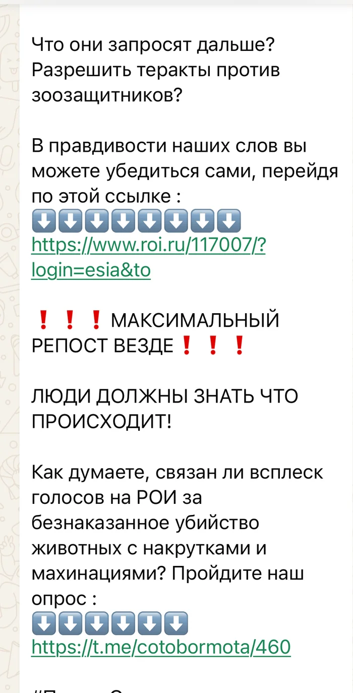 Зоопсихопаты никак не могут поверить в то, что адекватное большинство не хочет кормить собой собачек - Моё, Радикальная зоозащита, Бездомные животные, Бродячие собаки, Чульман, Нападение собак, Длиннопост