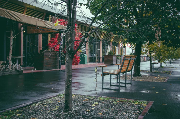 Kemerovo, Pritomskaya embankment street - My, The photo, Town, Street photography, The street, Kemerovo, Autumn