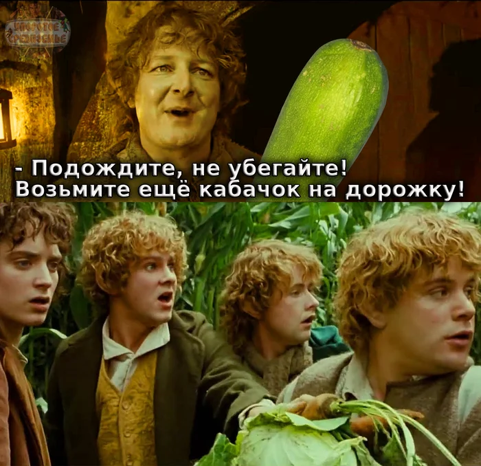 When a summer resident tries to give you a zucchini - My, Persistent Middle-earth, Lord of the Rings, Frodo Baggins, Peregrin Took, Picture with text, Humor, Memes, Farmer, Meriadoc Brandibak, Sam Gamgee, Zucchini, Summer residents