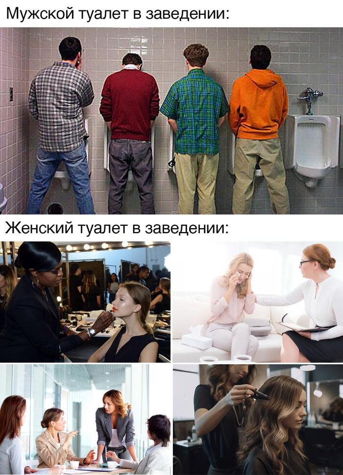 Its own atmosphere - Picture with text, Humor, Men, Women, Men and women, Toilet, Telegram (link)