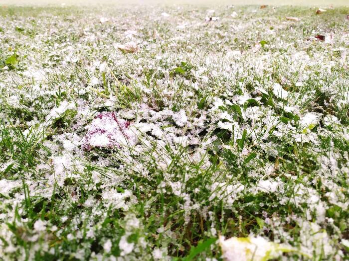 Но пока дождь побеждает