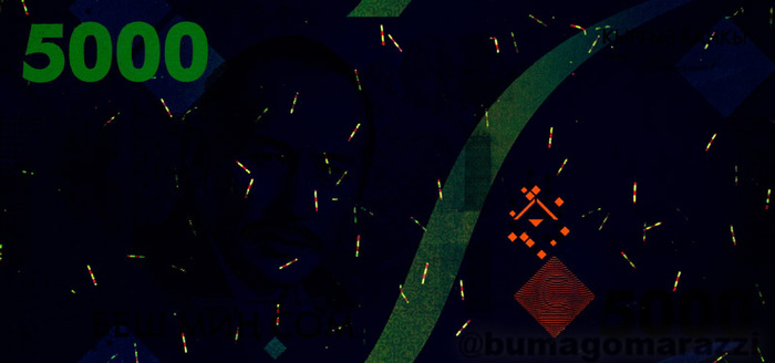 5000  2023 -   -   365