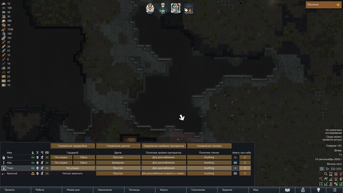 Как лечить болезни в Rimworld?