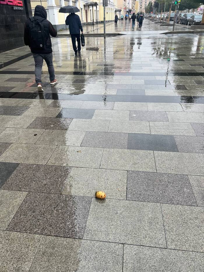 In the most expensive district of Moscow, unwashed potatoes were thrown directly onto the tiles - My, Moscow, Moscow region, The photo, Potato, Roast potatoes, beef stroganoff, Luxury, Suite, Expensive, Expensive-Rich, Catering business, Sidewalk, Paving slabs, French fries, Thrown away, Thrown, Spent, Longpost, news, Humor