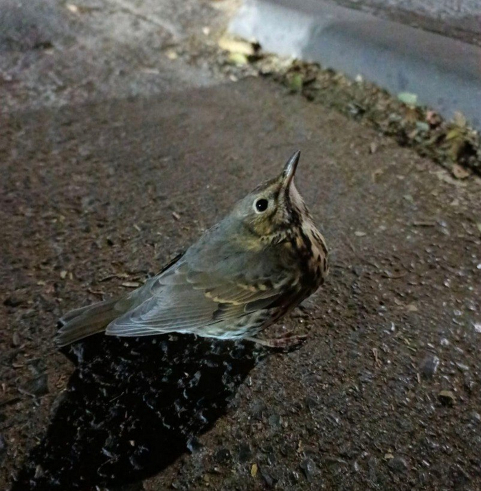        ,   ...  , , ,   , ,  ,  