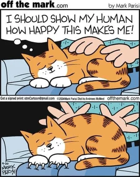 I have to show the person how happy I am! - cat, Comics, Offthemark