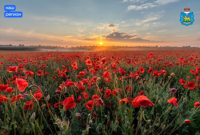 Фото А. Пашеничева.