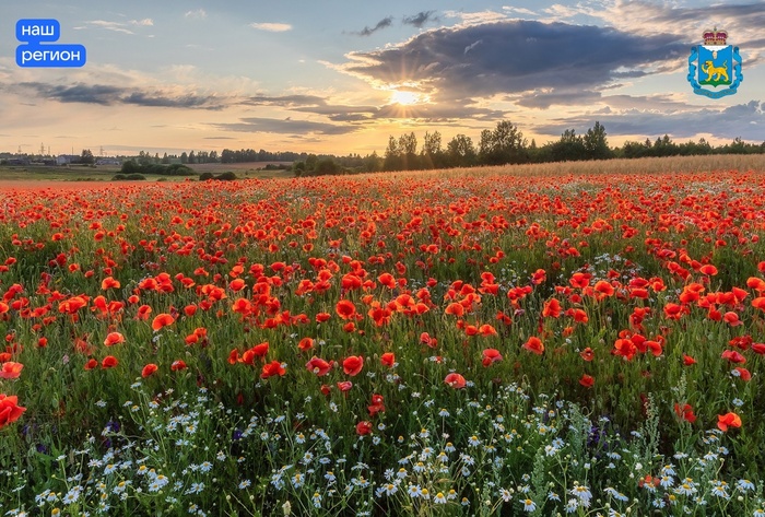 Фото А. Пашеничева.