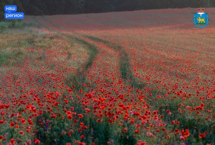 Фото А. Пашеничева.