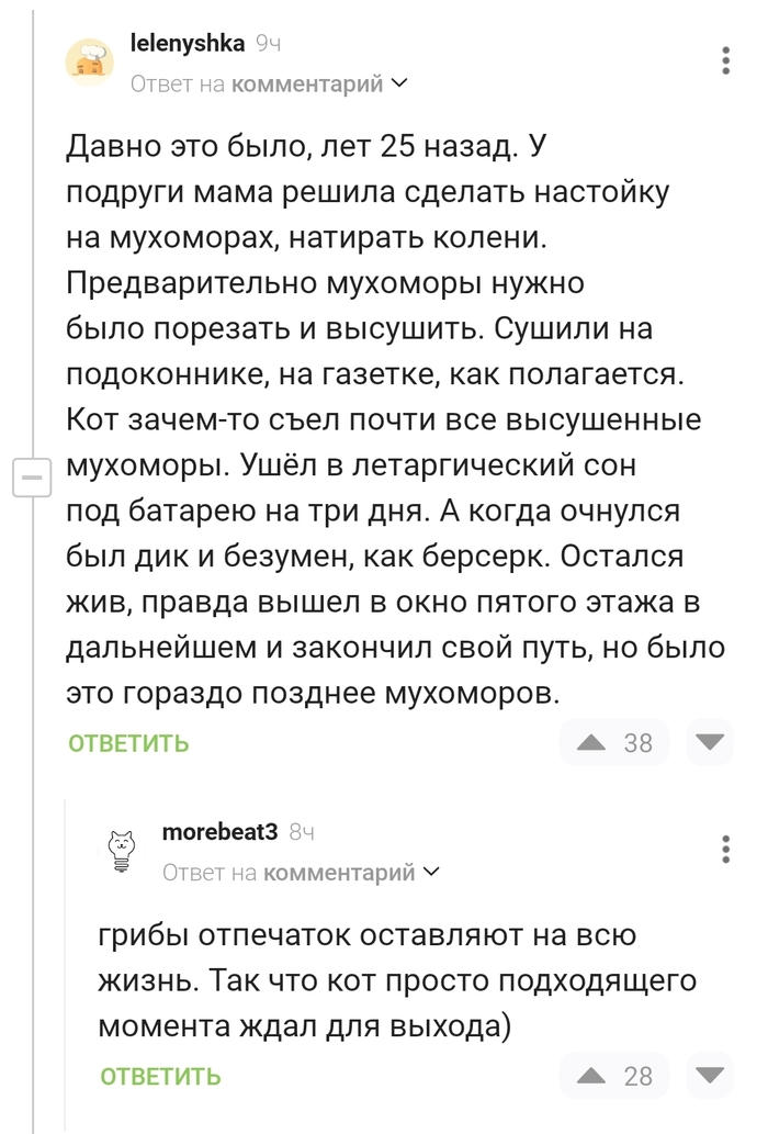 ��� �������