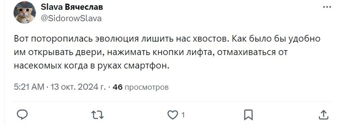 О эволюции...