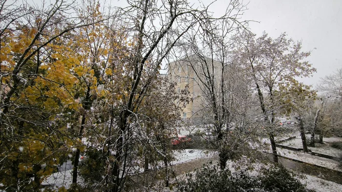 The first snow in Tula provoked mass cleanups - Tula, First snow, Autumn, Bad weather, Sewerage, Rainstorm, Rain, Utility services, Housing and communal services, Cities of Russia