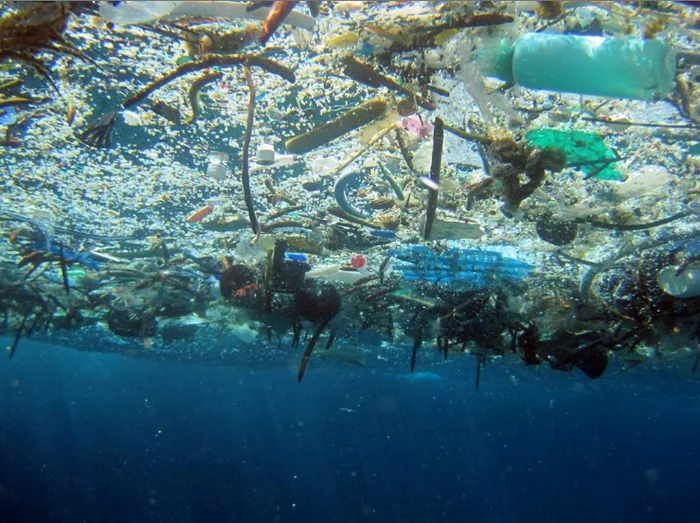 Scientists: We have 11 years left to save the oceans from plastic pollution - Ecology, Scientists, Research, The science, Garbage, Plastic, Waste recycling, Ocean