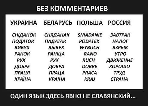 Russian language is not Slavic! Myths about Russian language #1 - Russian language, Language, History (science), The words, Linguistics, Myths, История России, Foreign languages, Sciencepro, Civilization, Russians, Ukrainian language, Polish language, Critical thinking, Czech, Slovak language, Belarusian language, Picture with text, Country, Amateur, Yandex Zen (link), Longpost, A wave of posts