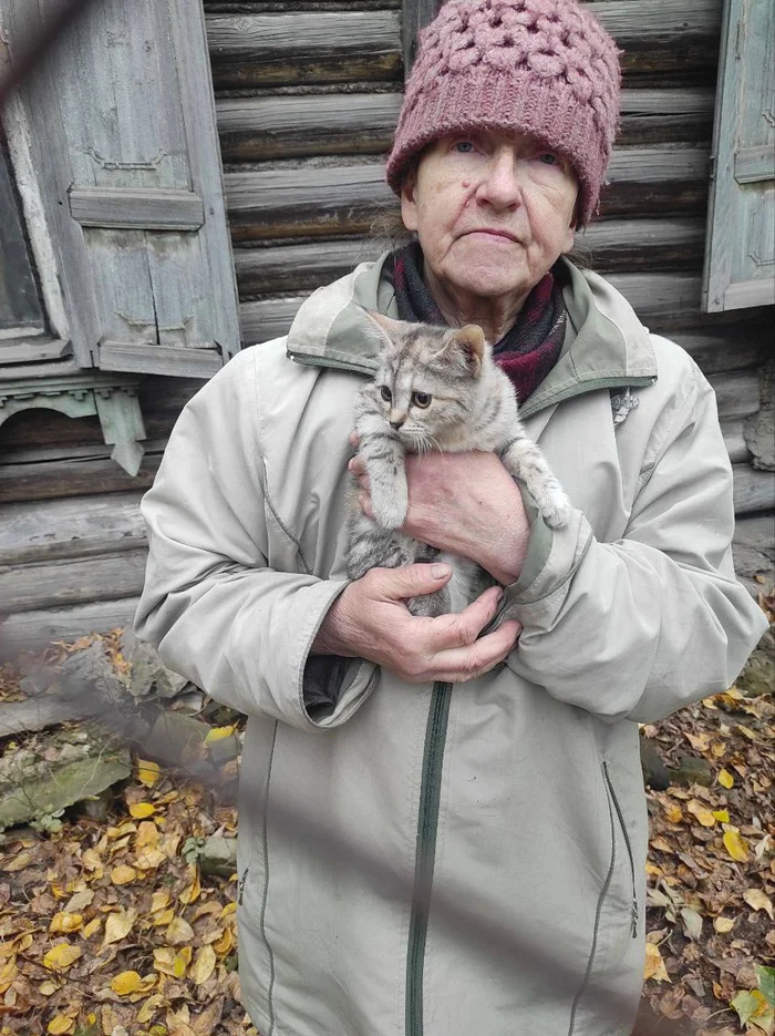 Потерянные души, брошенные котята..Бабушка, которая стала невольной приютом для почти 20 котиков. Люберцы - Бездомные животные, Ветеринария, В добрые руки, Спасение животных, Кот, Передержка, Лига Добра, Приют, Потеряшка, Волонтерство, Длиннопост, Котята