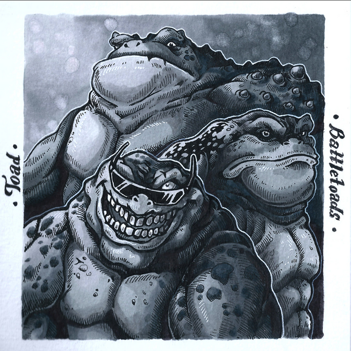 TOAD. Battletoads