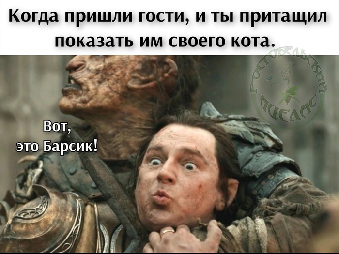   .  50 ,  ,   , ,  ,  :  , 