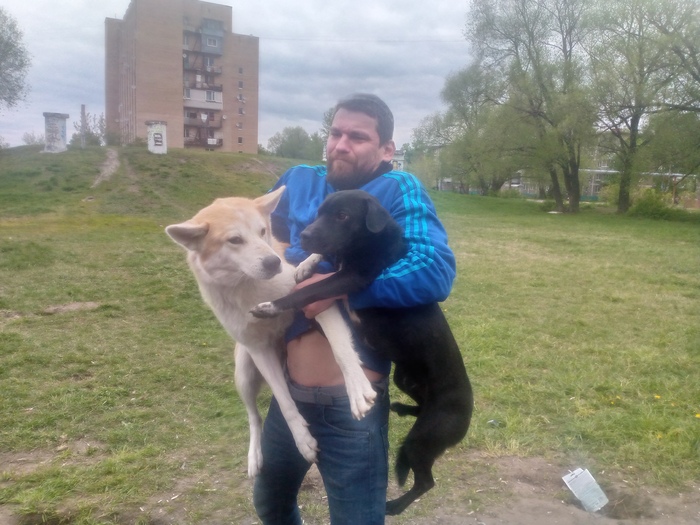 Налог на бездетность и зоошиза