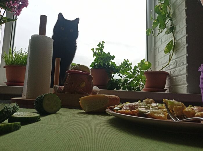 Это у меня компания для принятия пищи такая всегда ч2