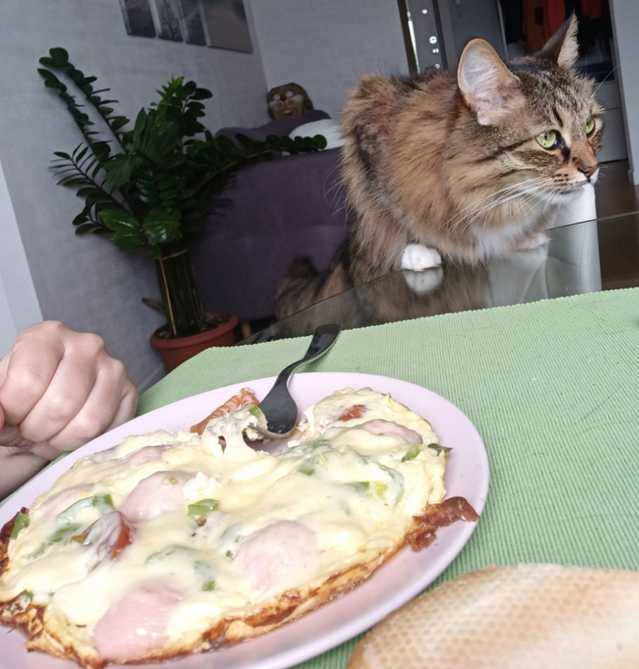 Это у меня компания для принятия пищи такая всегда ч1