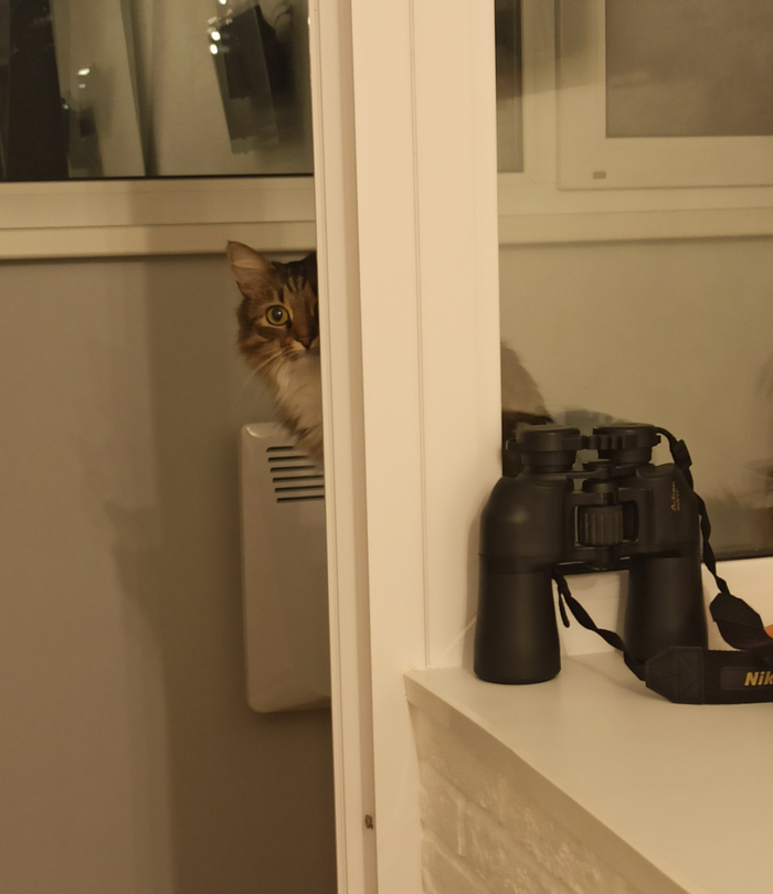 Извините, а пылесос уже ушел?