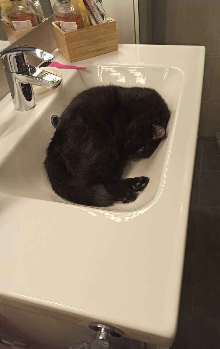 Севодня не моешься