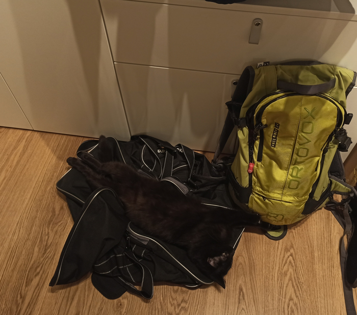 Севодня не катаешь