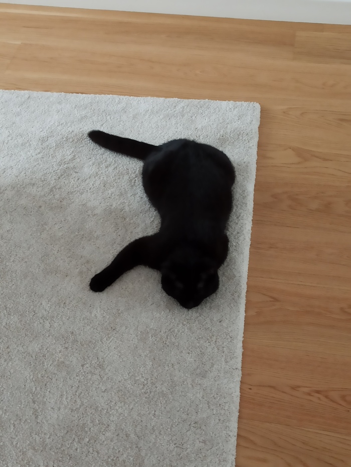 Провал в текстурах