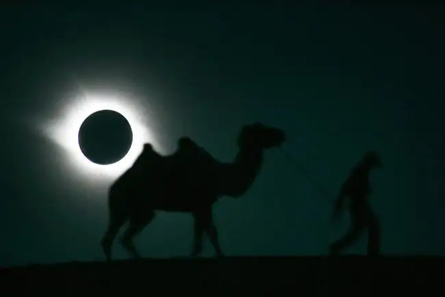 Eclipse - The photo, Solar eclipse, Silhouette