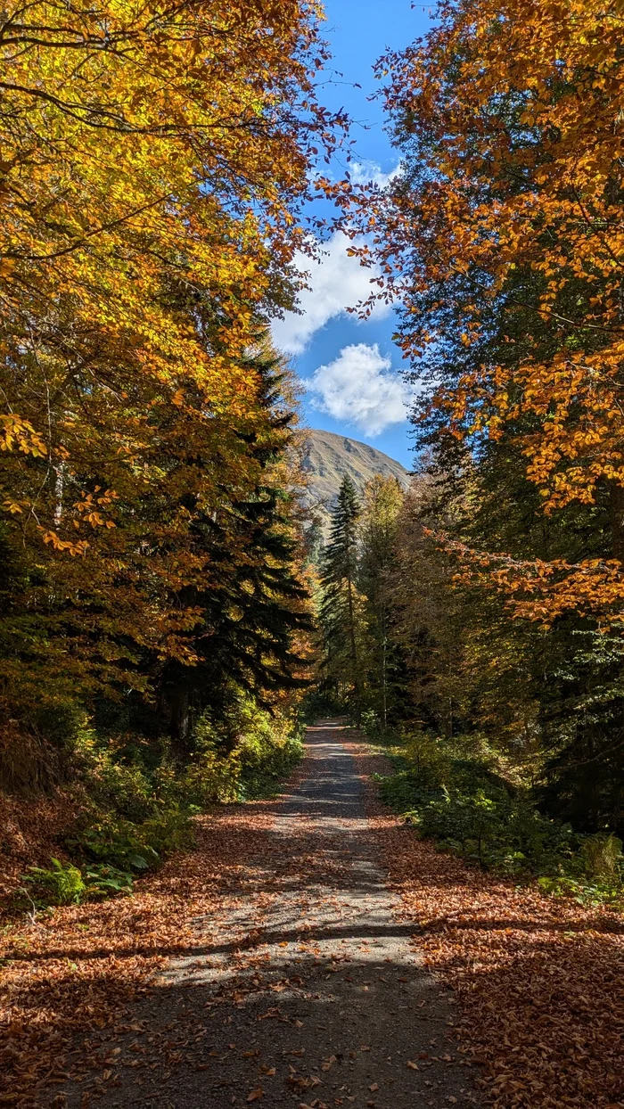 Осень в горах - Моё, Мобильная фотография, Осень, Горы