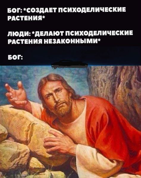 Ответ на пост «Как работает никотин?» - Сигареты, Курение, Биология, Сад, Вредные привычки, Табак, Научпоп, Зависимость, Бог, Запрет, Сарказм, Троллинг, Атеизм, Религия, Наркомания, Ответ на пост, Волна постов, Картинка с текстом, Психоделики