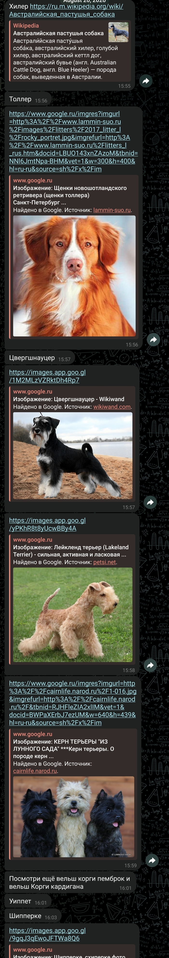   ,  ,  ,  , 