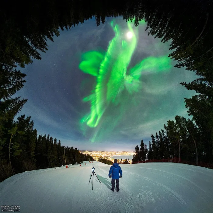 Полярное сияние над шведским лесом - Полярное сияние, Фотография, Швеция