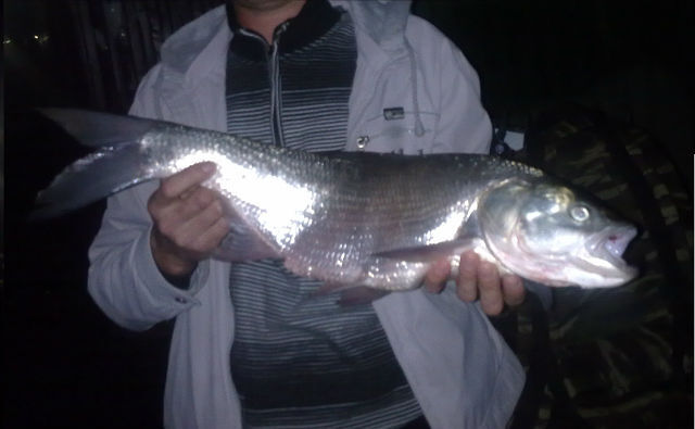 ������ ����������� ������� �� ������ � ������ �������� ����� �� ���������� ������� �� �����.