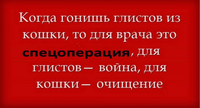 Памятка всем - Спецоперация, Общество, Кот, Странный юмор, Картинка с текстом, Глисты, Зашакалено, Повтор