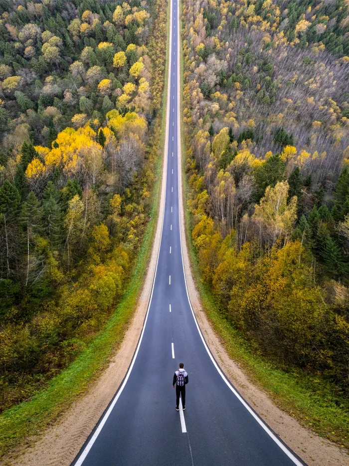 Autumn forest in the style of the film Inception. Road to Dmino (Rybinsk), Yaroslavl region - Autumn, Yaroslavskaya oblast, The photo, Nature, Track