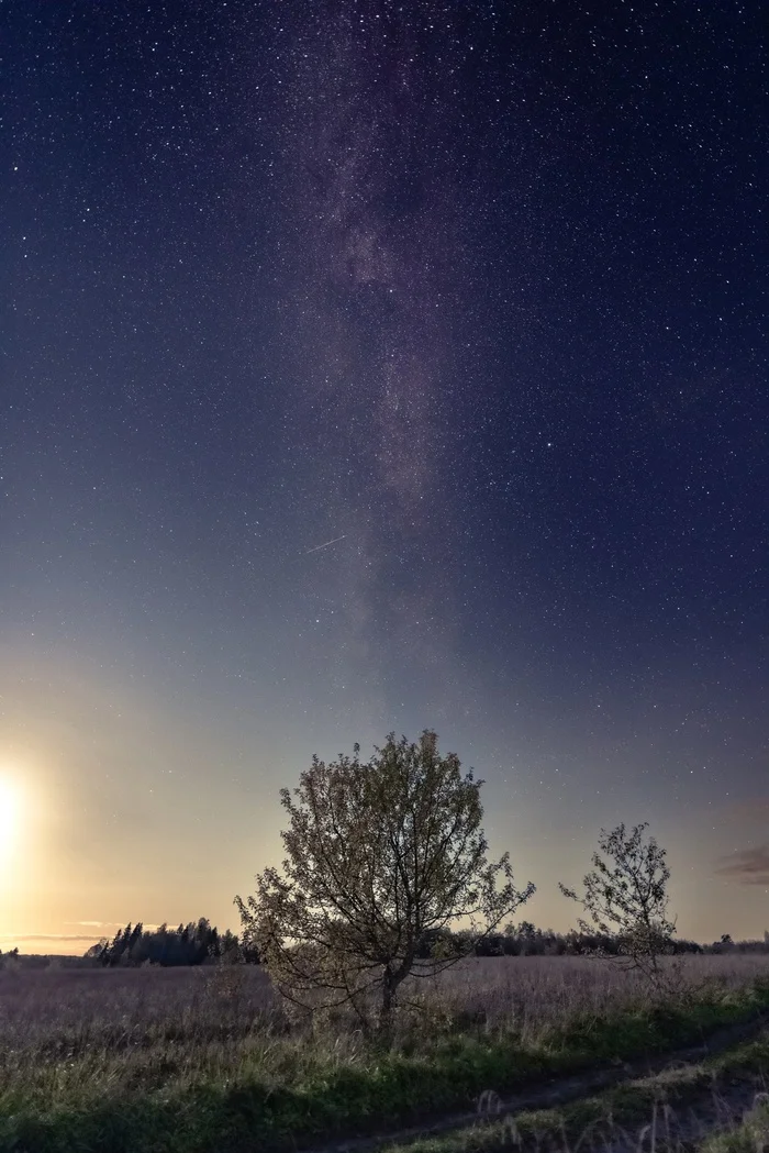 I'm taking pictures - My, The photo, Nature, Landscape, Night shooting, Starry sky