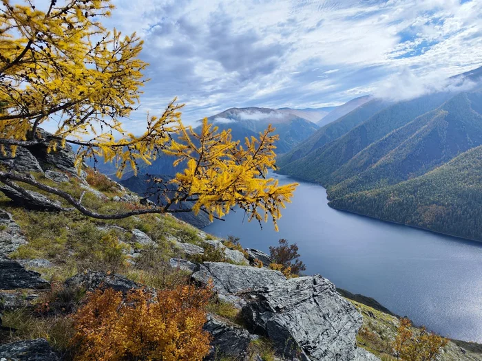 Последние аккорды осени - Дикая природа, Осень, Саяно-Шушенский заповедник, Западный Саян, Красноярский край, Пейзаж, Красивый вид, Telegram (ссылка), Длиннопост