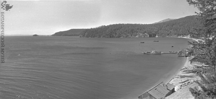 Байкал, пос.Курбулик (Покойники). Панорама. 11.08.1964 год. Фотография Тюлиной Л.Н. (из коллекции фотоархива Ботанического музея РАН)