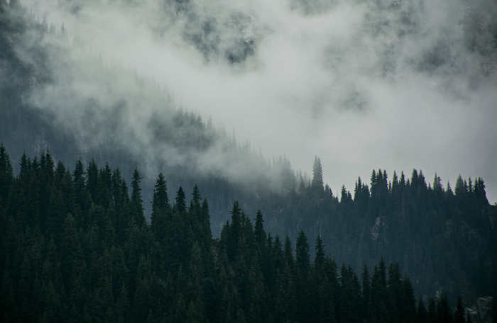 Nikon D5200 + NIKKOR 18-140mm + PS