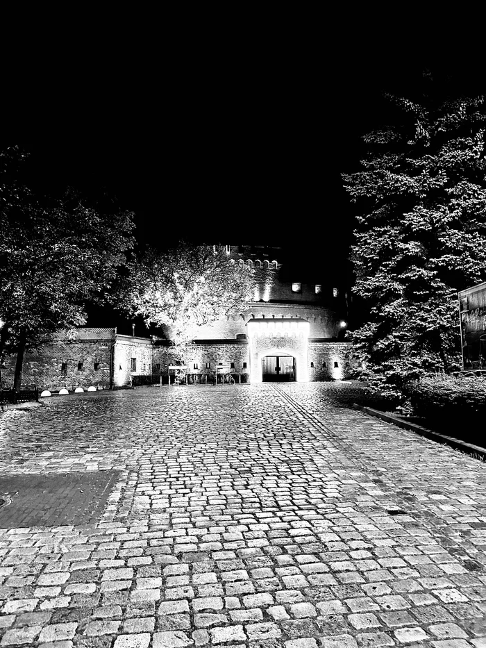 Amber Museum - My, Night, Paving stones, Old man, Black and white photo, Museum