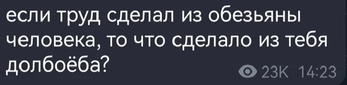 Вопросы без ответа... - Юмор, Мемы, Картинка с текстом, Национальный вопрос, Скриншот, Мат